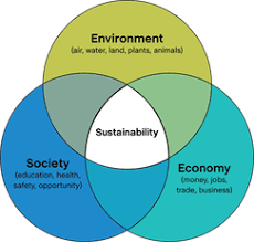 Ecocentrism & Technocentrism | Sustainable Environment Online